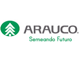 Arauco