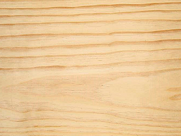 MDF 15MM 1 FACE LAMINA PINUS N210 / 1 FACE L.B 2500 X 1220